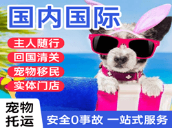 和田空运公司国际宠物托运 【国